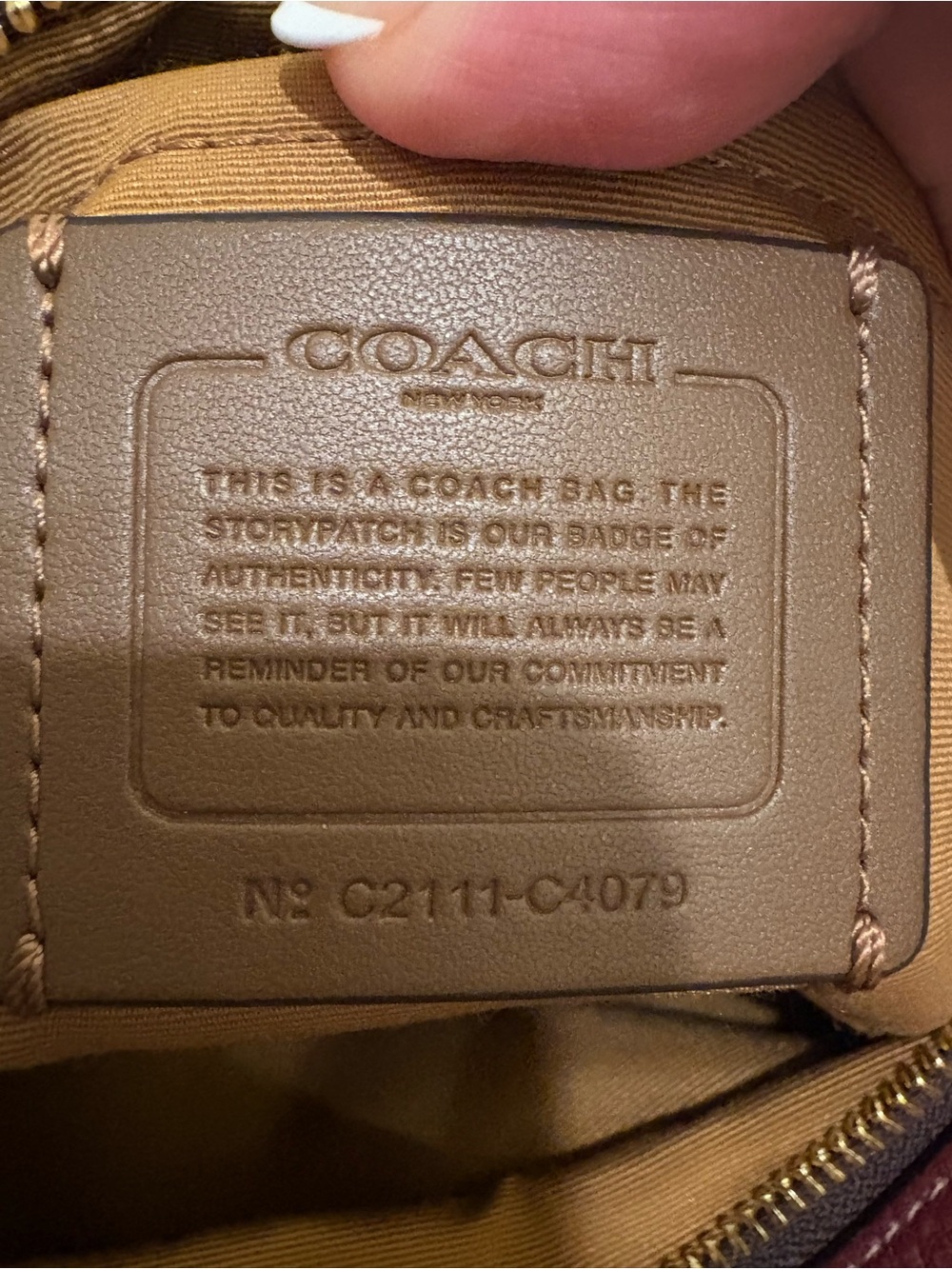 Coach | Jes Crossbody | Colorblock Stripe - Picture 10 of 17